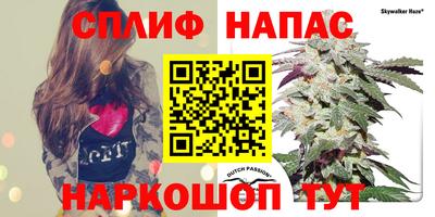 СК Пыть-Ях